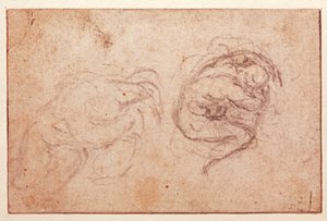 Studio di una figura accovacciata da Michelangelo Buonarroti